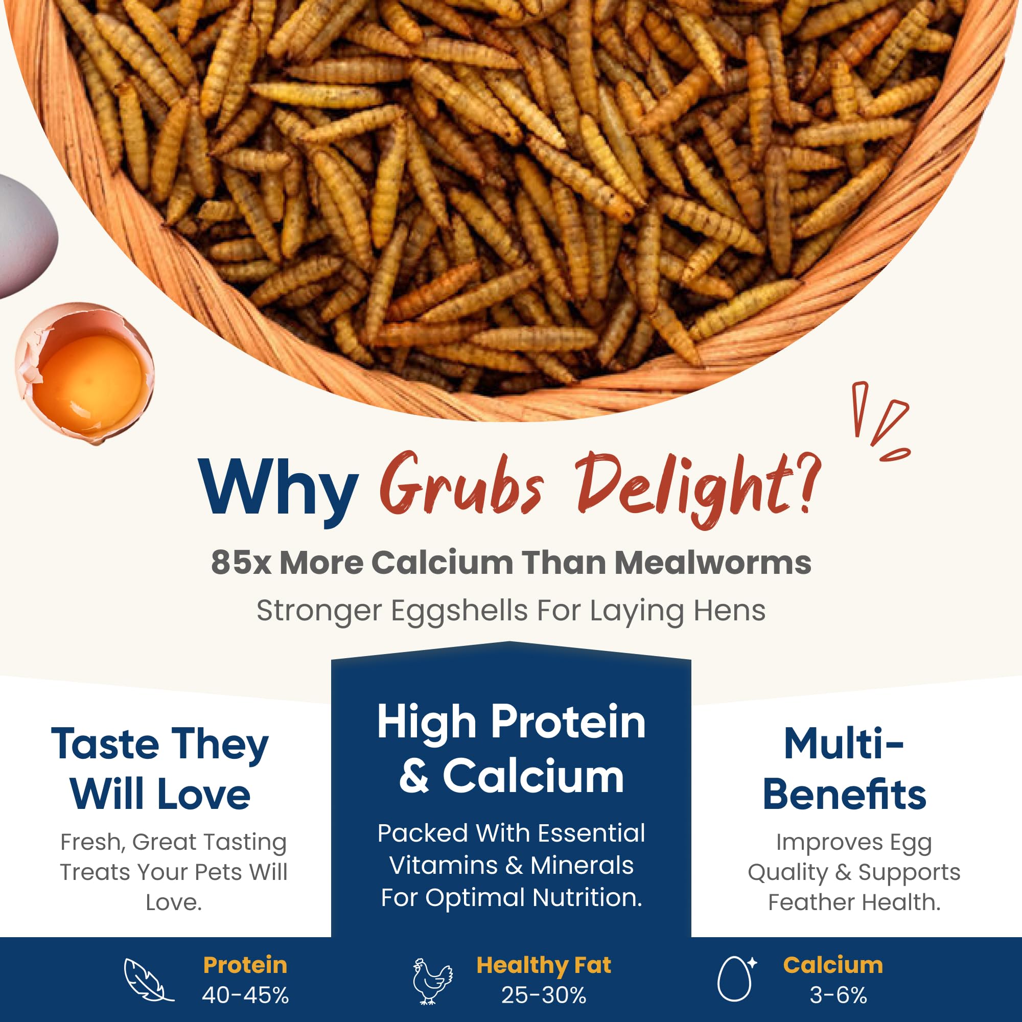 Grubs Delight dried BSFL larvae closeup highlighting a natural protein source for birds.