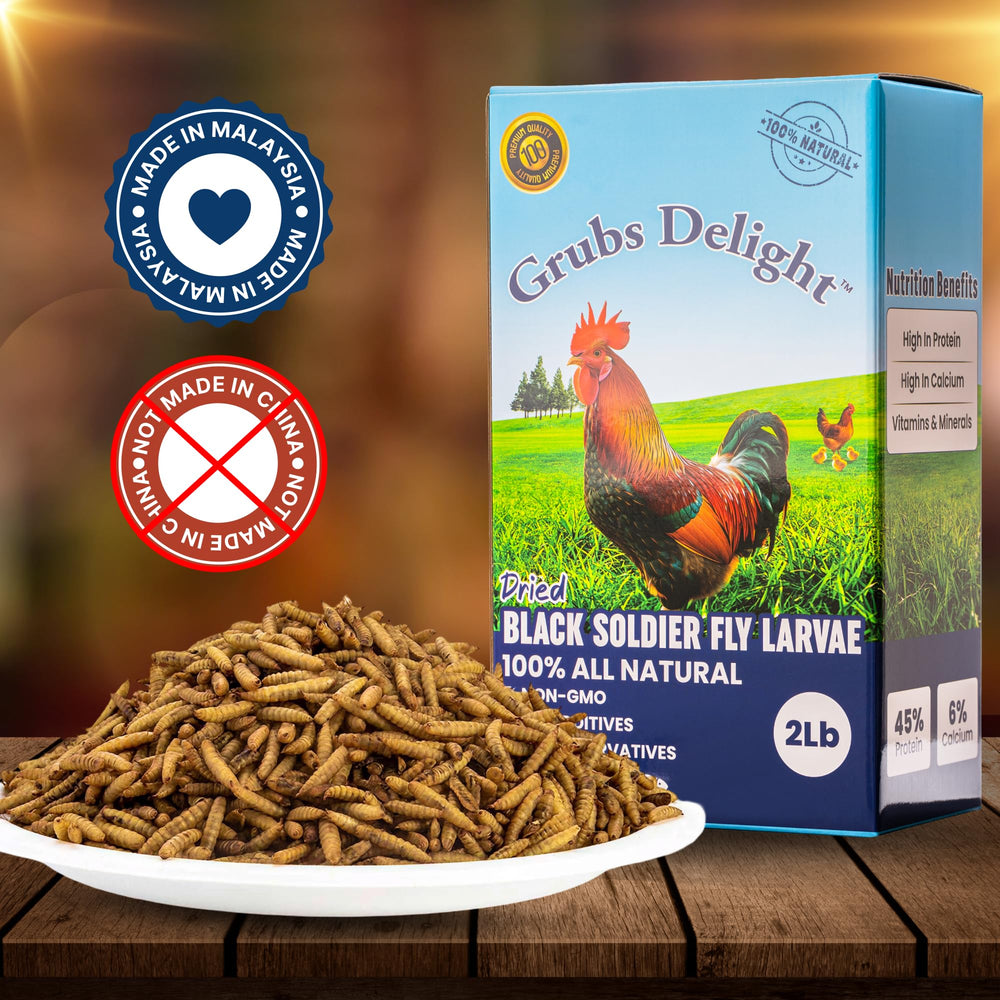 Grubs Delight packaging box with inner bag signaling freshness.