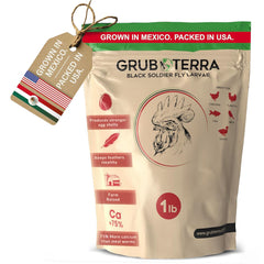 GrubTerra BSFL dried treat for chickens shown in a dish, high-protein supplement.
