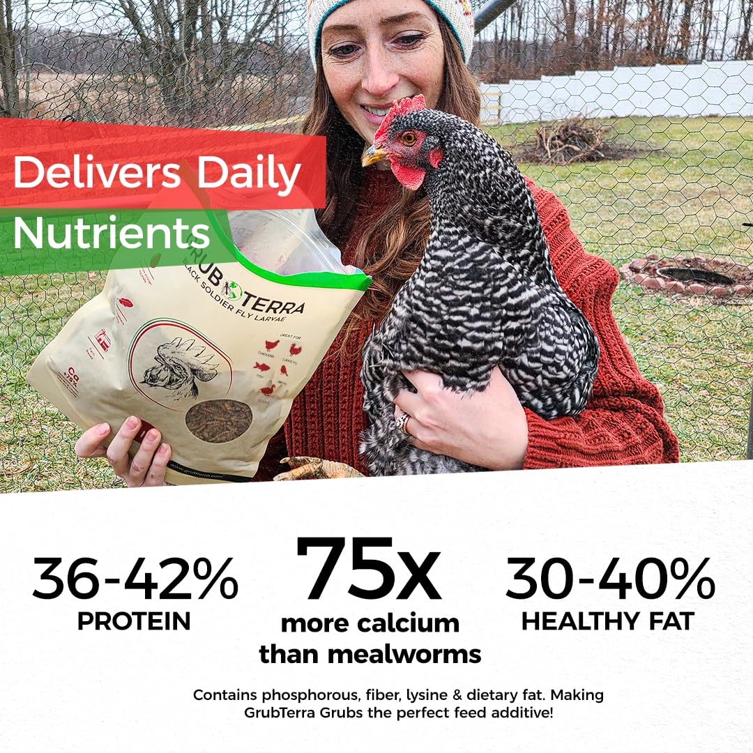 GrubTerra BSFL Mexico-sourced packaging emphasizing transparent supply chain.