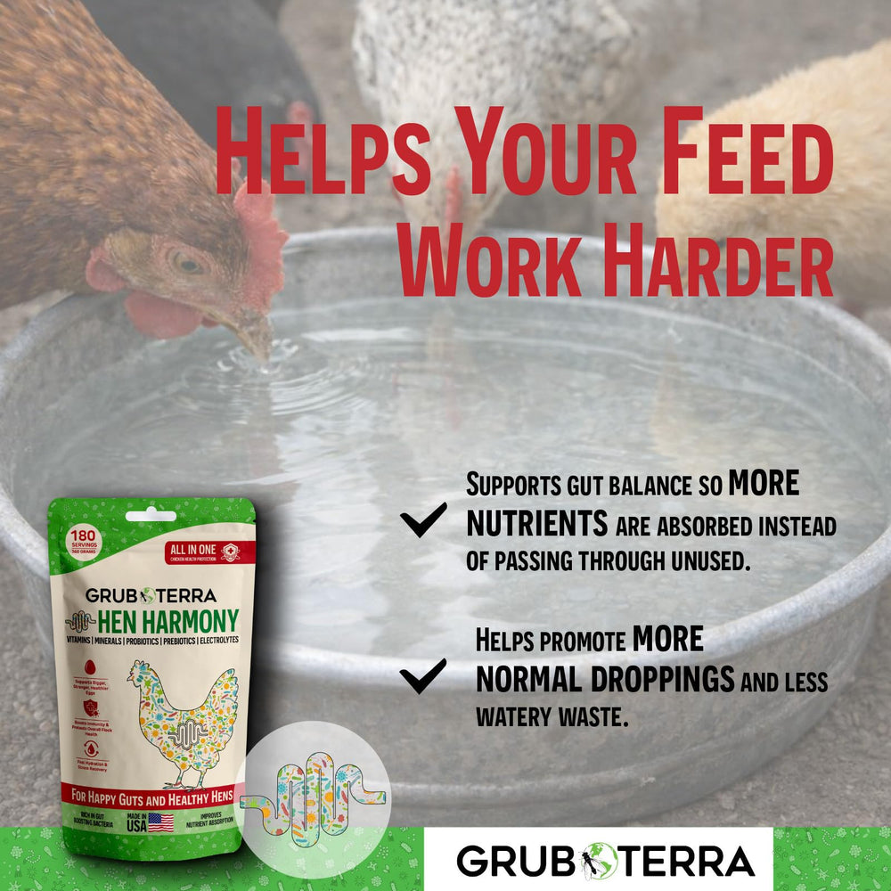 GrubTerra Hen Harmony daily vitamins replenish minerals for hens