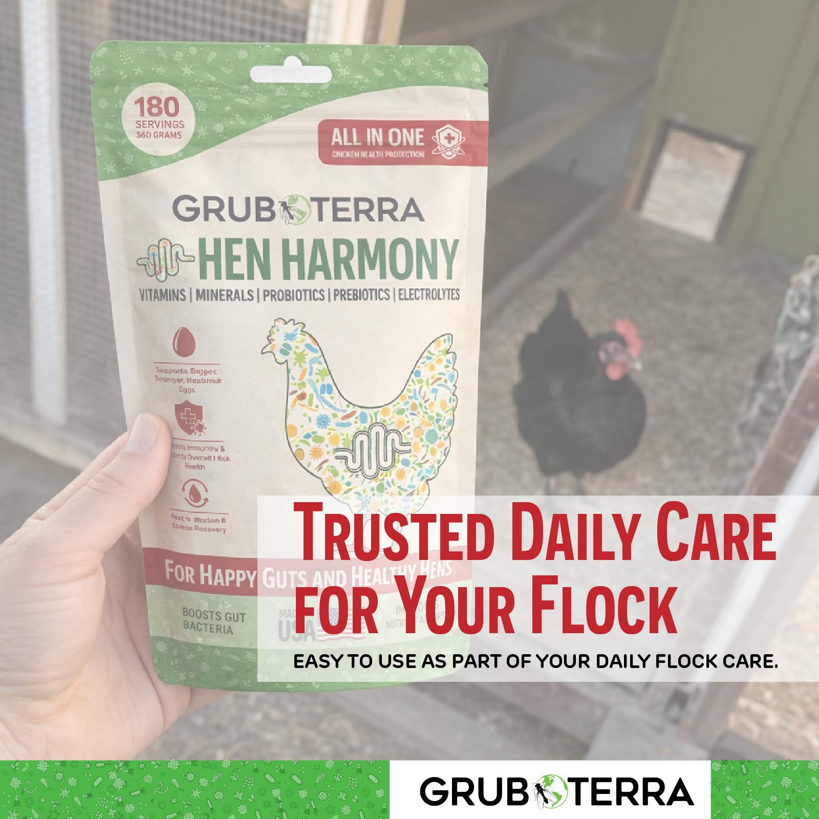 GrubTerra Hen Harmony supports egg production with balanced nutrients