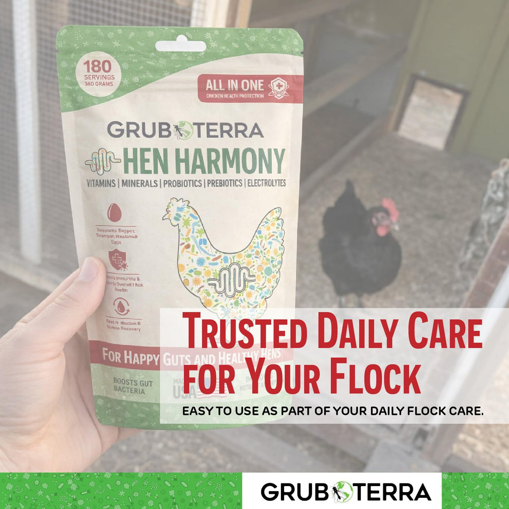 GrubTerra Hen Harmony supports egg production with balanced nutrients