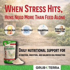 GrubTerra Hen Harmony promotes gut balance for digestion support
