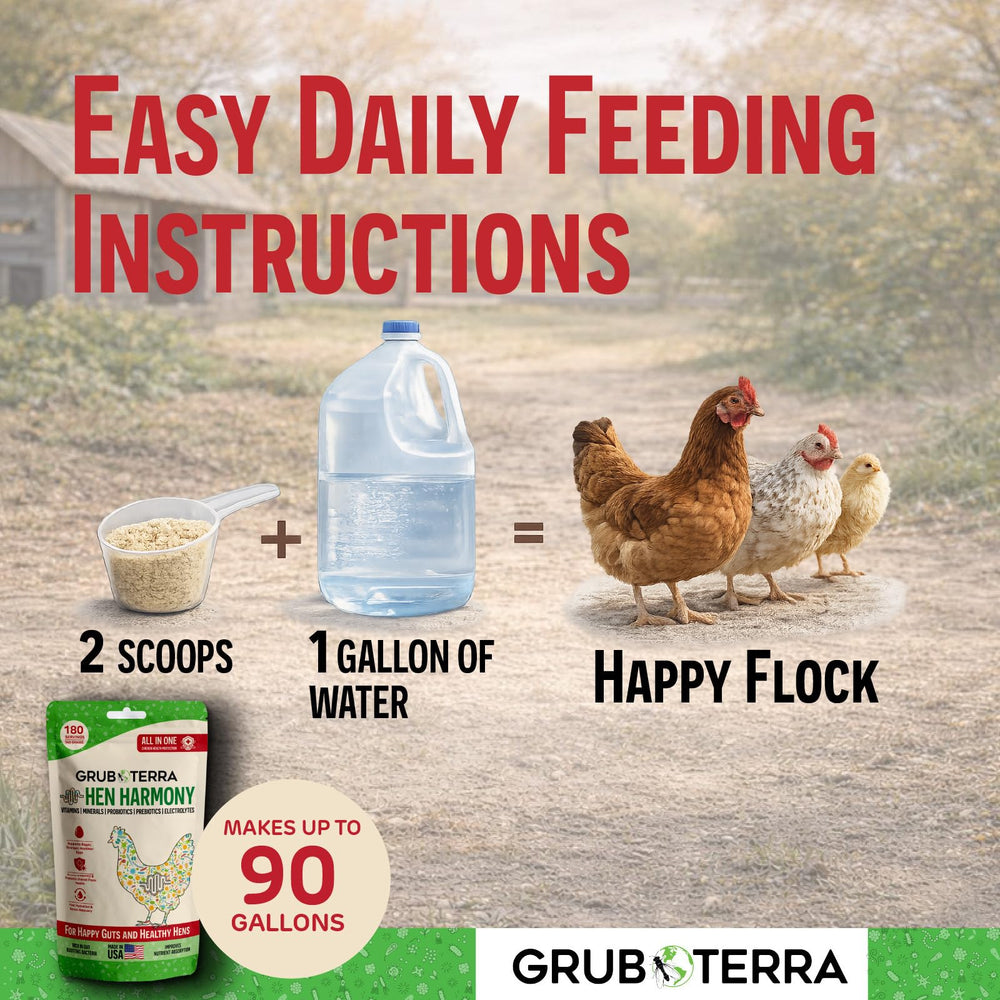 GrubTerra Hen Harmony prebiotic fiber supports gut stability