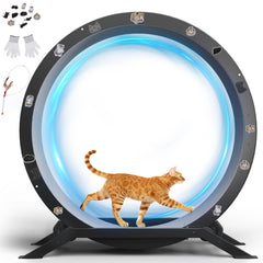 GTRACING Cat Wheels with 40-inch diameter for spacious indoor exercise.