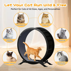 GTRACING Cat Wheels detachable carpet offers easy grip and quick setup.