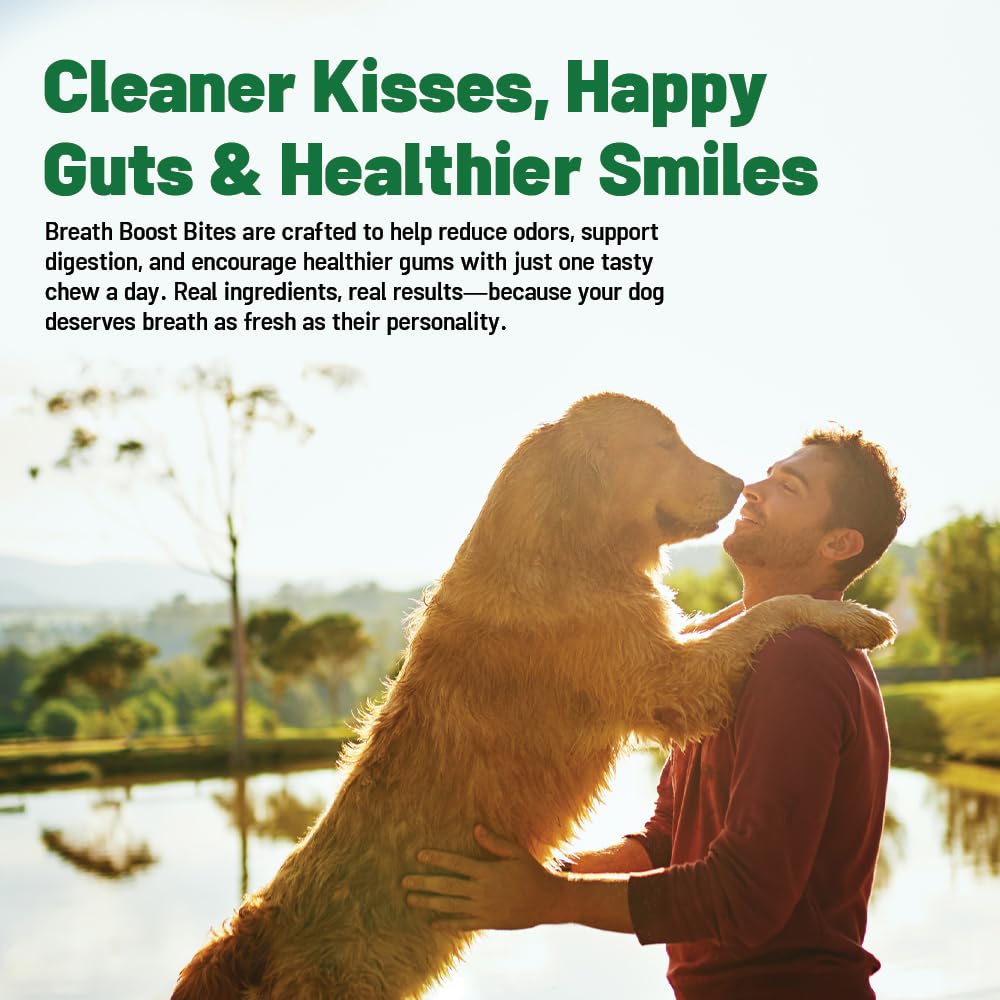 Guardian's Choice Breath Boost Bites - Champex mushroom extract for odor control and gut balance