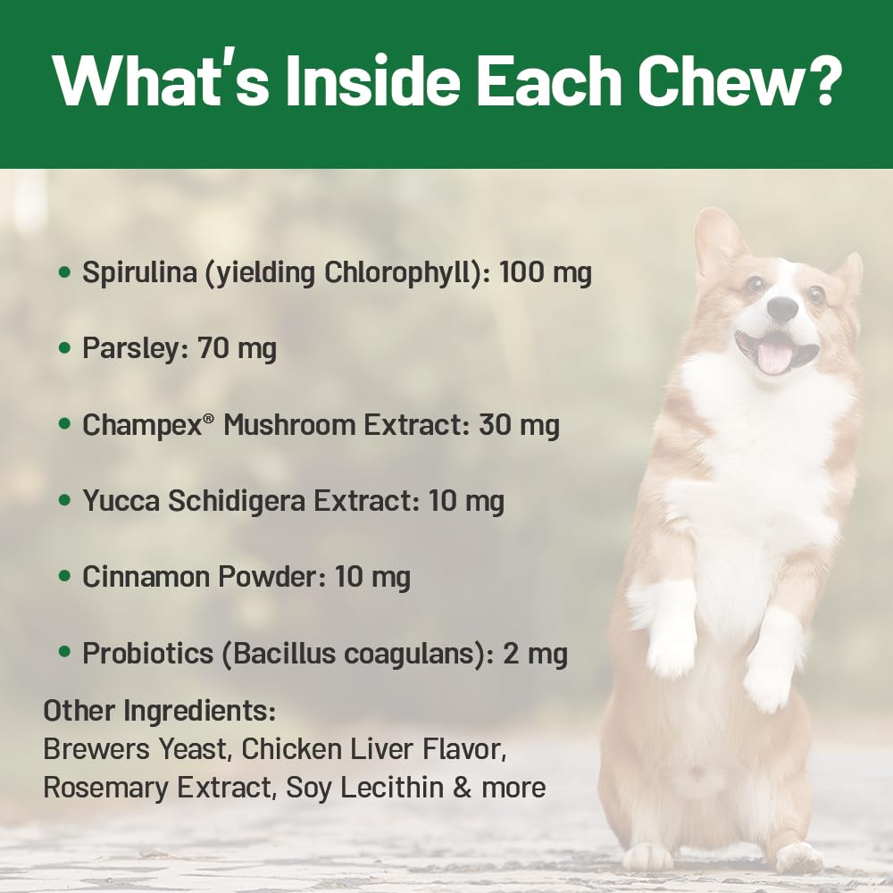 Guardian's Choice Breath Boost Bites - made in USA with non-GMO ingredients