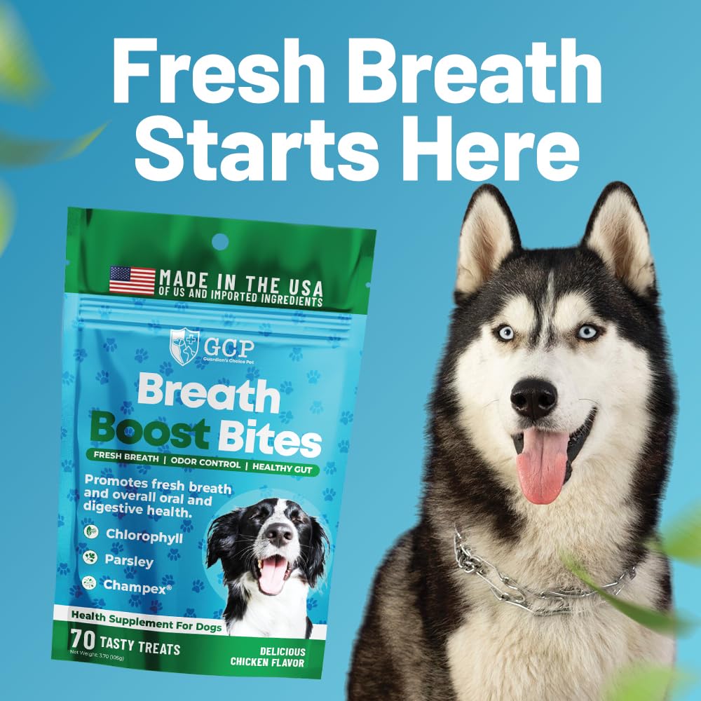 Guardian's Choice Breath Boost Bites - soft chews for dogs with tasty texture and easy use