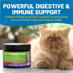Guardian’s Choice Purrbiotics powder scoop shown for easy daily serving.