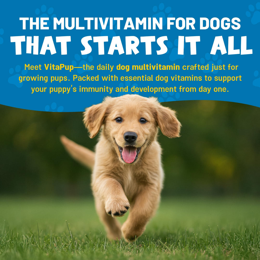 Guardian's Choice VitaPup bone growth support shown on a growing puppy.