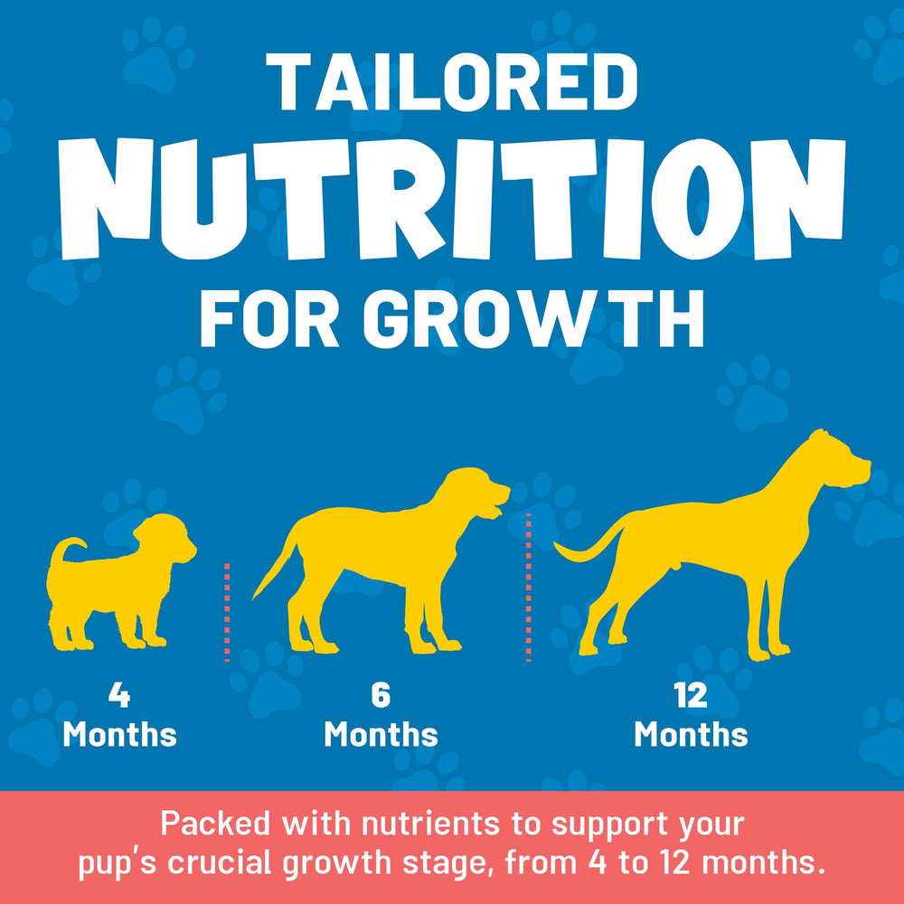 Guardian's Choice VitaPup coat shine image showcases biotin and omega-3 supports healthy fur.