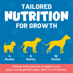 Guardian's Choice VitaPup coat shine image showcases biotin and omega-3 supports healthy fur.