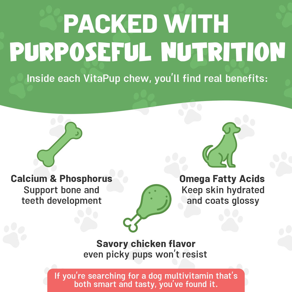 Guardian's Choice VitaPup chicken flavor chews seen as tasty daily treats.