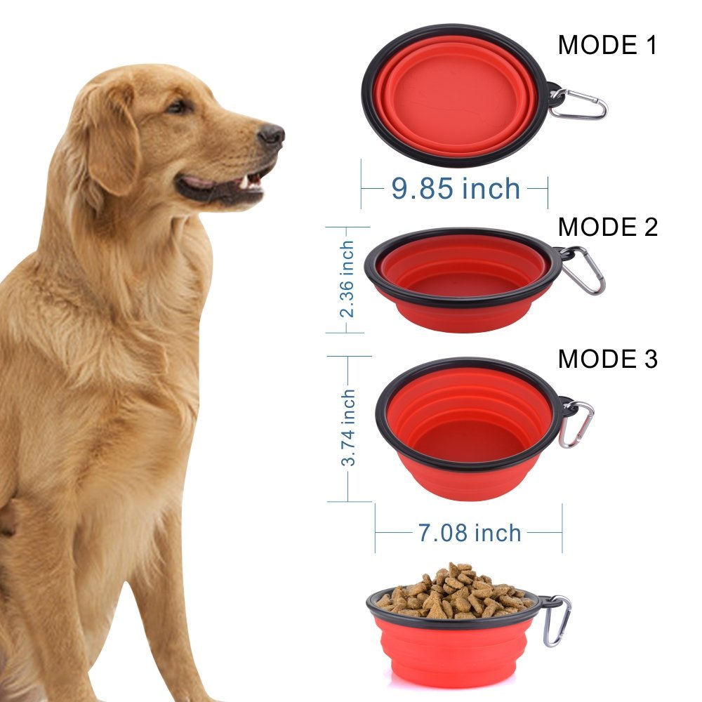 Guardians collapsible bowl clipped to backpack with carabiner.