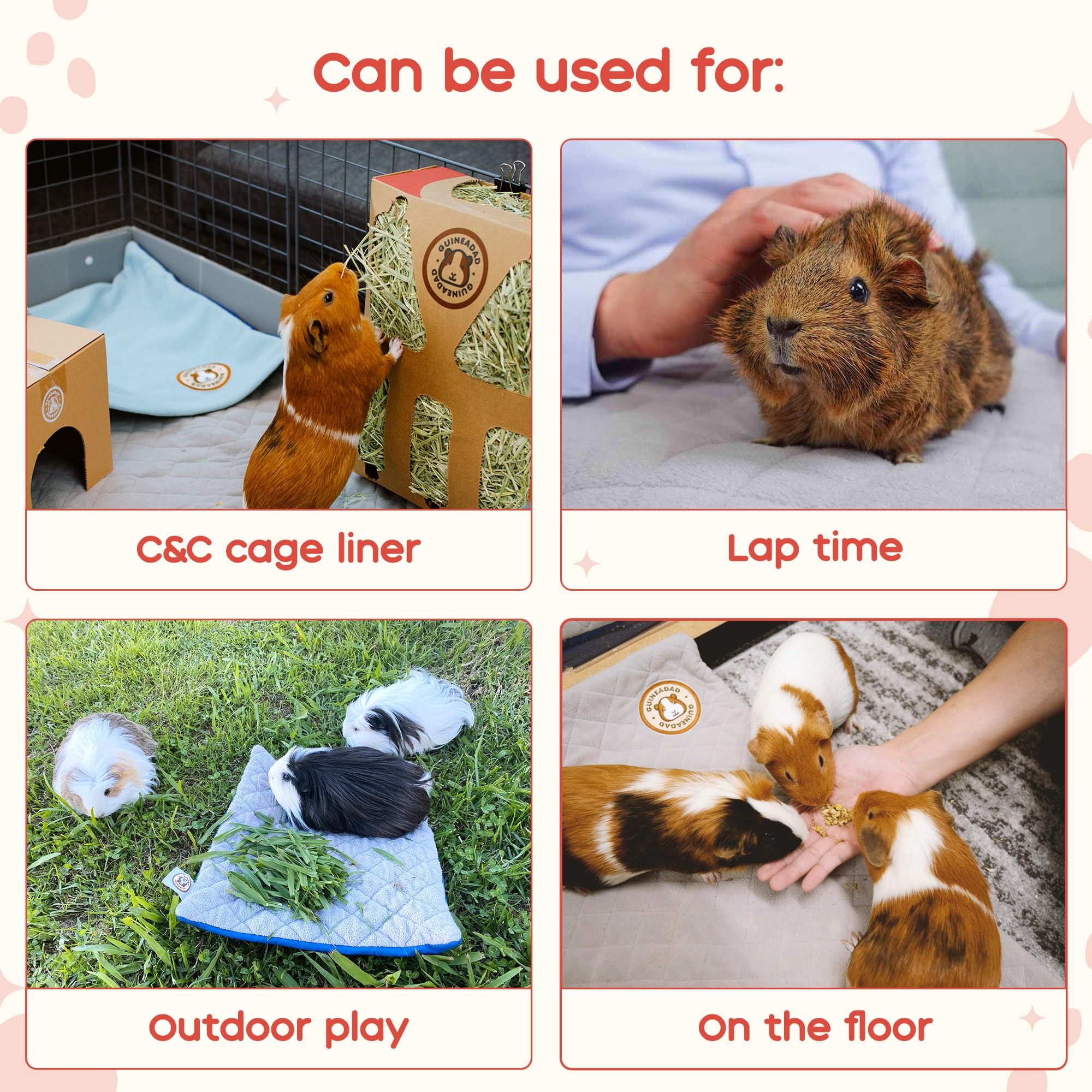GuineaDad crunchy condo packaging offers burrowing fun and safe chewing.