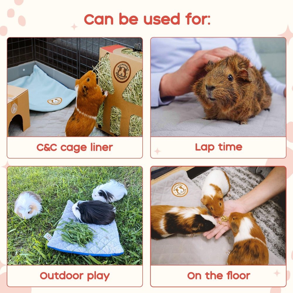 GuineaDad crunchy condo packaging offers burrowing fun and safe chewing.