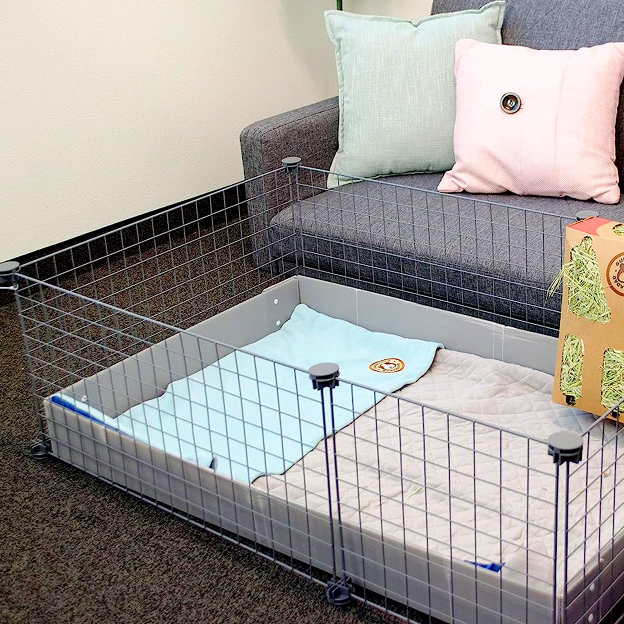 GuineaDad guinea pig mats for car trips and floor time.