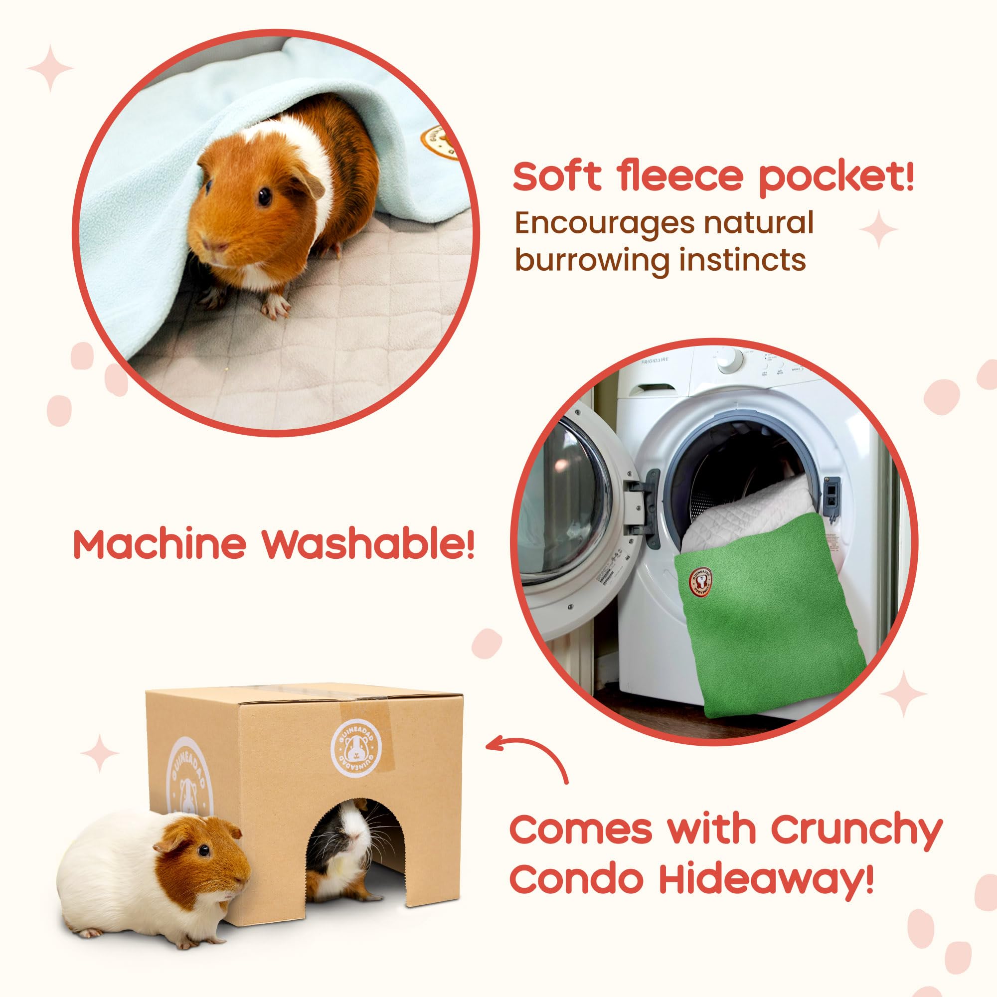 GuineaDad Midwest cage fit ensures quick, secure setup.