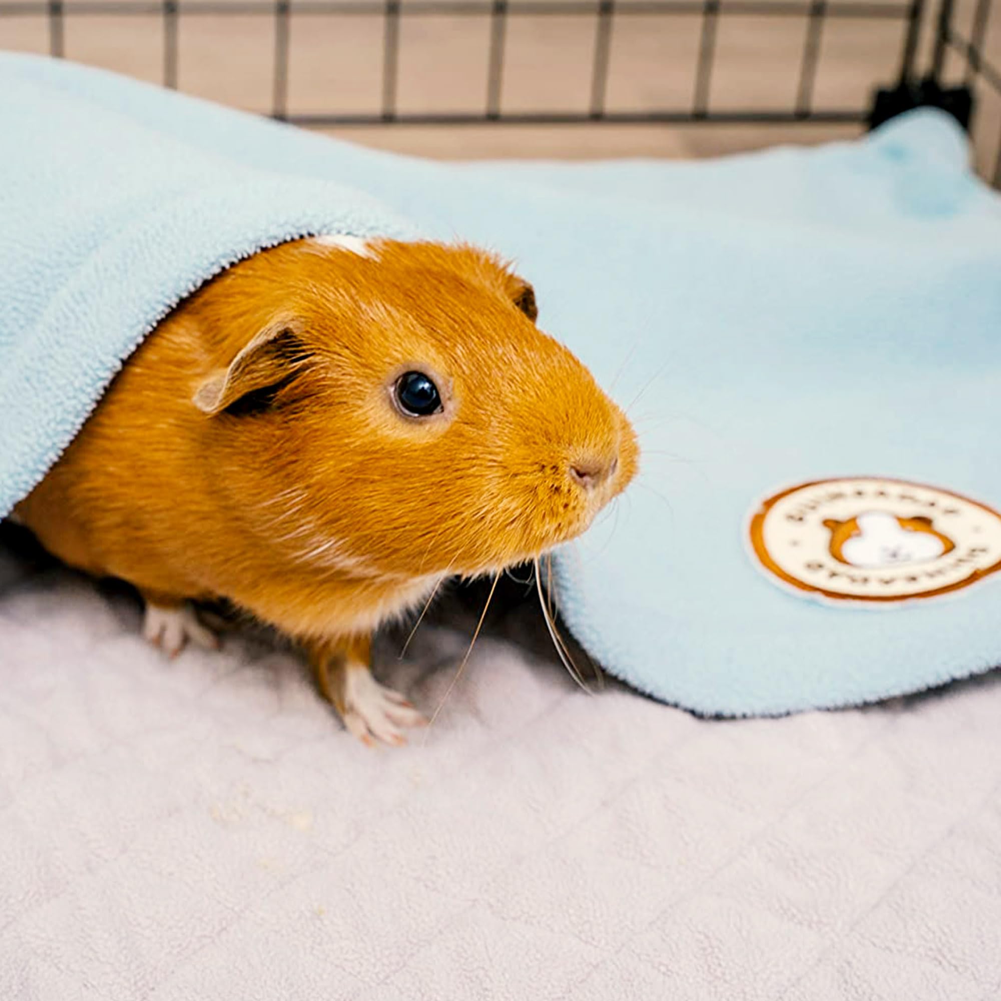 GuineaDad reusable soft surface delivers daily comfort and long-term savings.