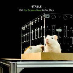 GuineaLoft clear-view cage enables 360° visibility for interactive moments.