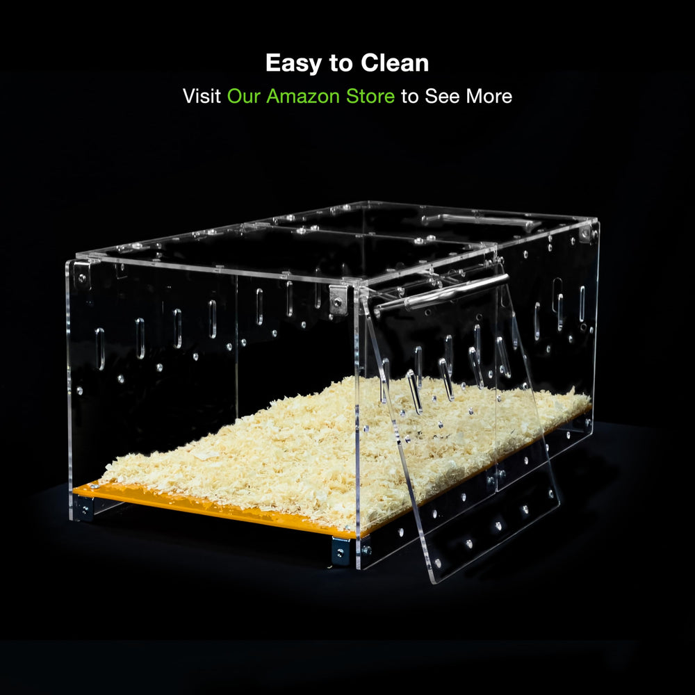 GuineaLoft Model-P3 clear walls enable unobstructed visibility