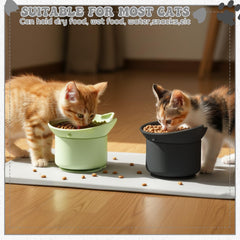 Guiqulai dual elevated slow feeder bowls in green support mindful eating