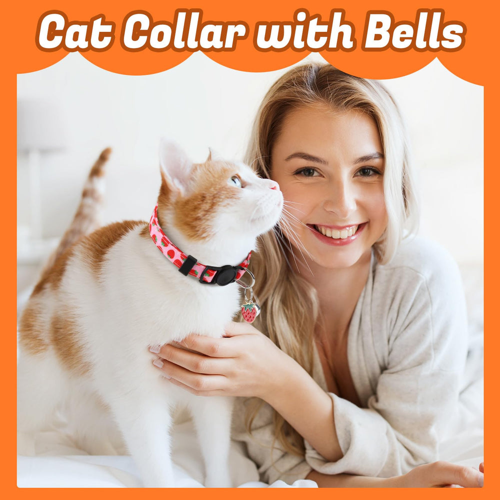 Guiqulai Christmas theme collar adds seasonal joy to walks
