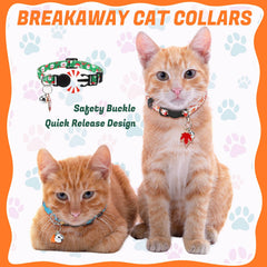 Guiqulai Independence Day collar enhances visibility for summer strolls