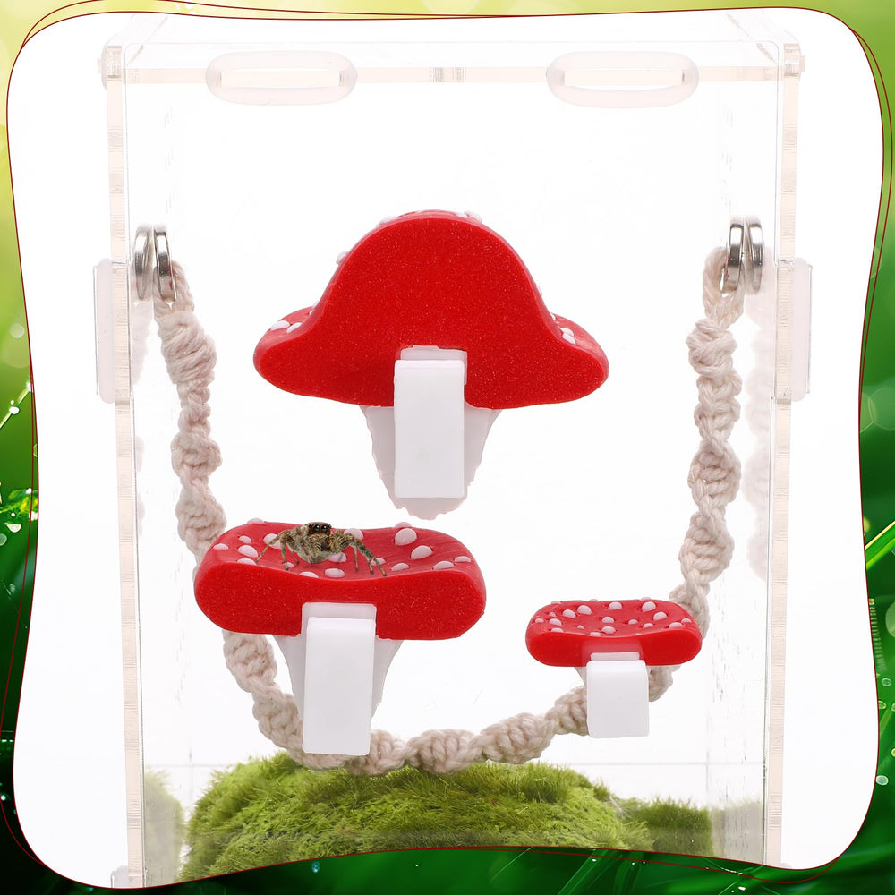 Guiqulai braided 5 cm platform providing a perching surface for medium spiders