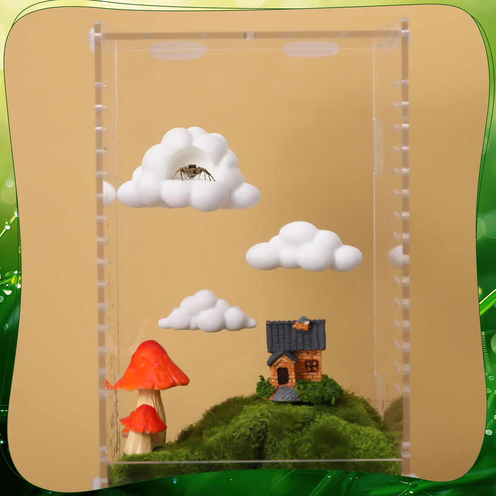 Guiqulai habitat decor adds visual appeal while supporting behavior.