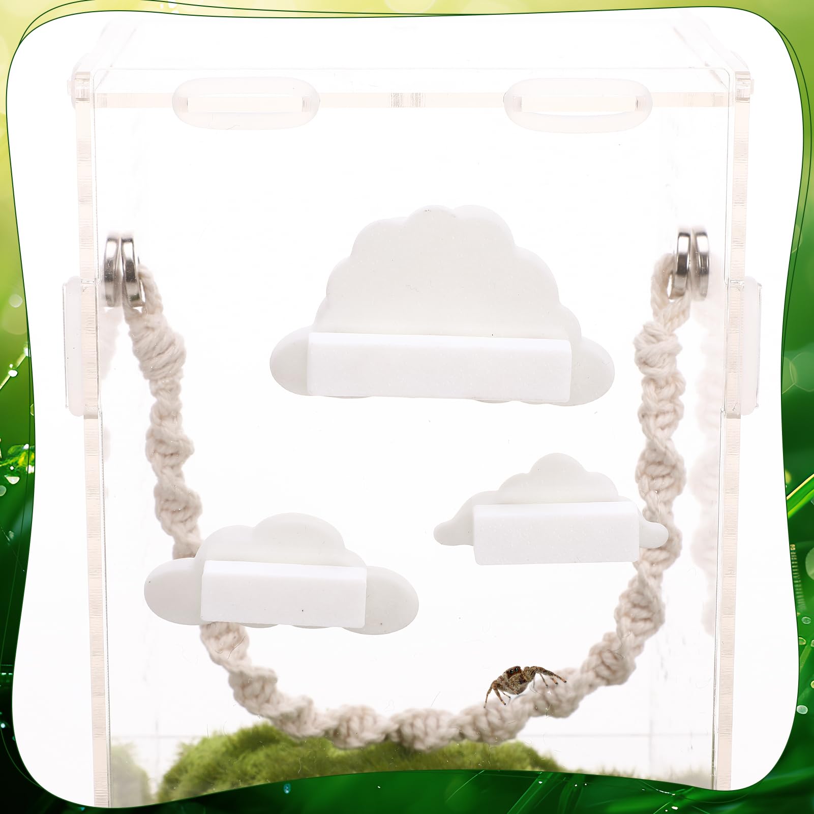 Guiqulai hand-braided cotton rope enables safe spider exploration.