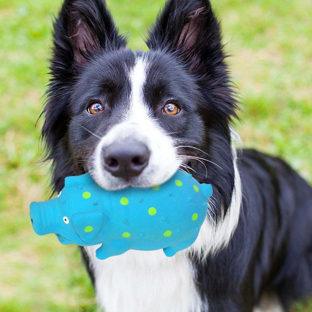 Guiwawa squeaky dog toy trio offers great value for gifts.