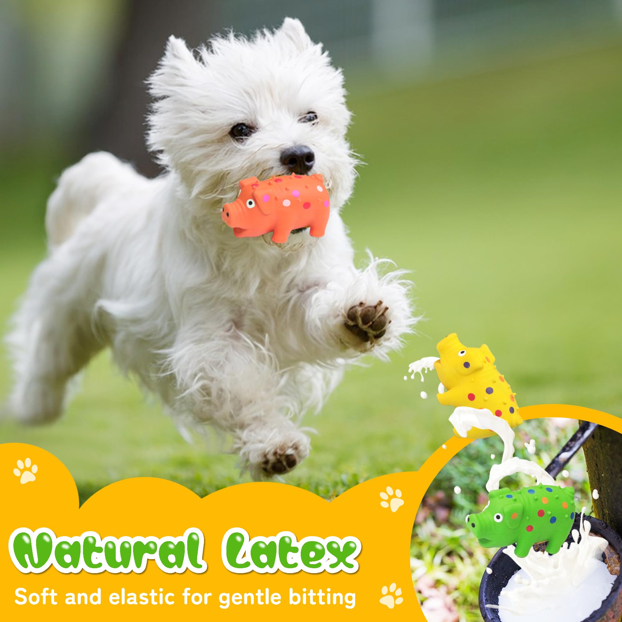 Dog enjoying Guiwawa pig toy during playtime, showcasing durability and bounce.