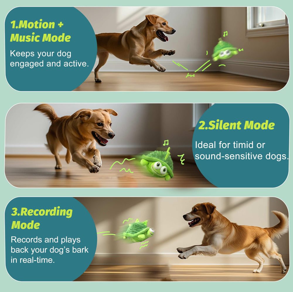 GUKCO Turtle toy in music mode energizing dogs during play.