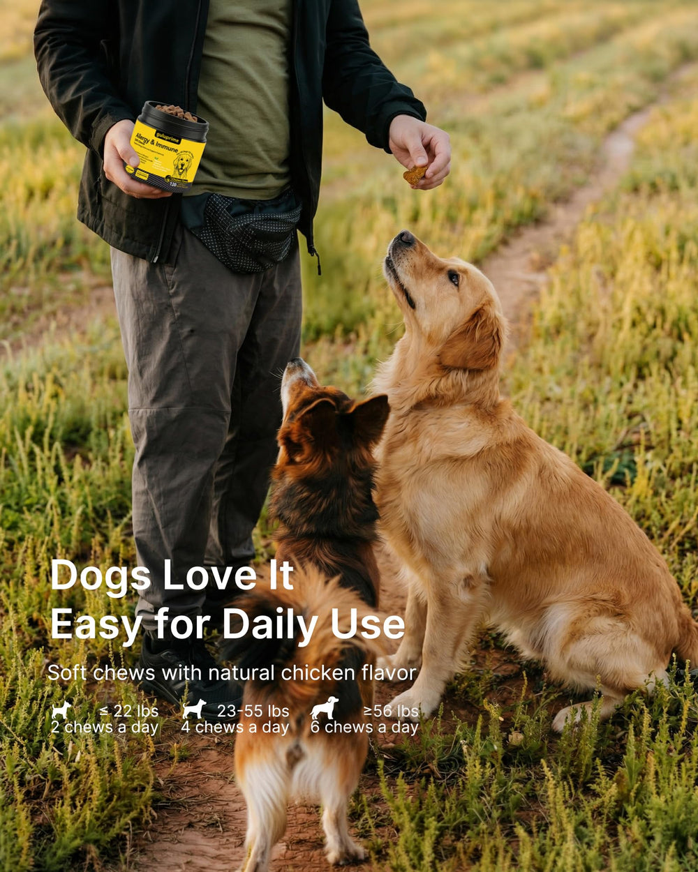 Guluprime dog allergy chews dog-ready for outdoors during allergy season