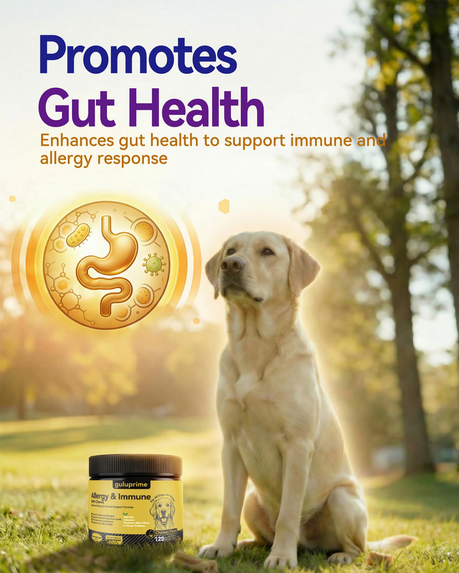 Guluprime colostrum ingredients support immune-friendly balance.