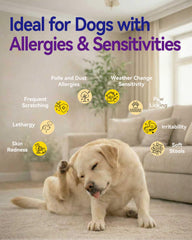 Guluprime dog allergy relief chews soft texture for easy chewing.