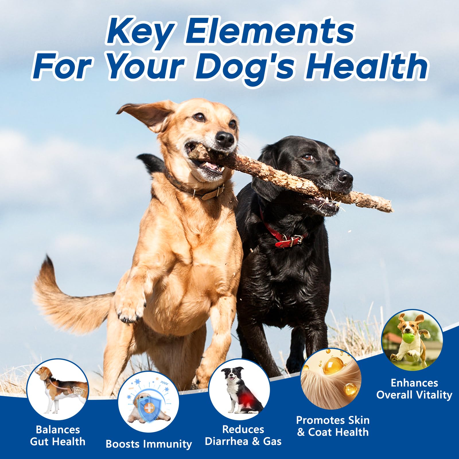 GuruAmi prebiotics blend (inulin, FOS, MOS, GOS) nourishes gut balance.