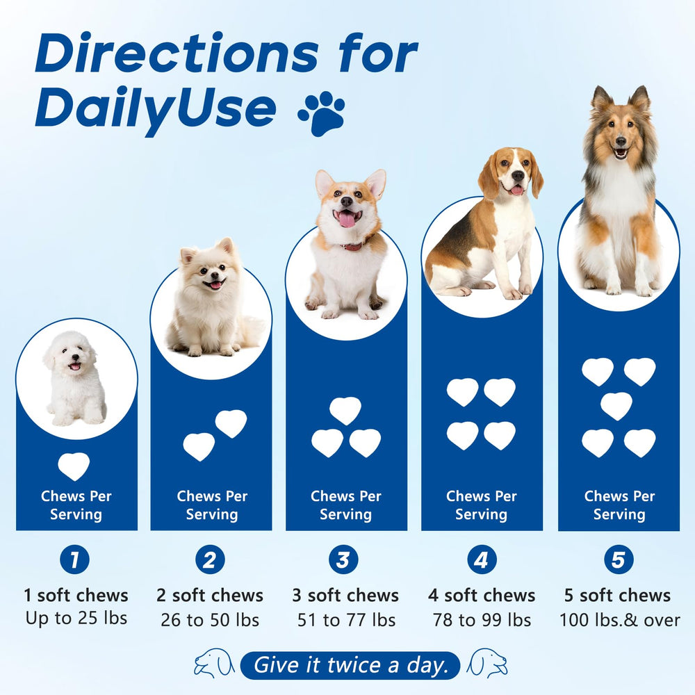 GuruAmi dog probiotic chews emphasize skin comfort and daily care.