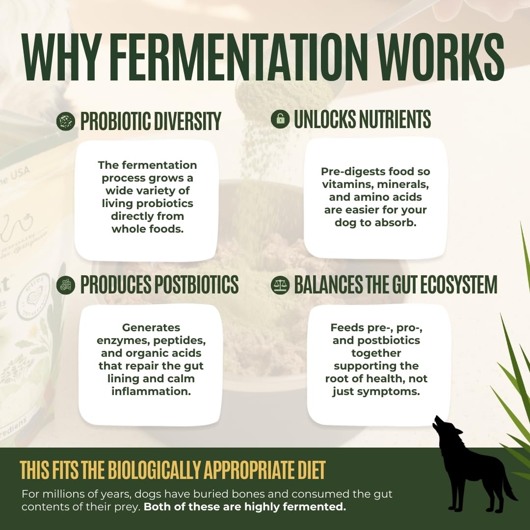 Fermented organic blend in Gussy's Gut Daily Boost swirls in a bowl