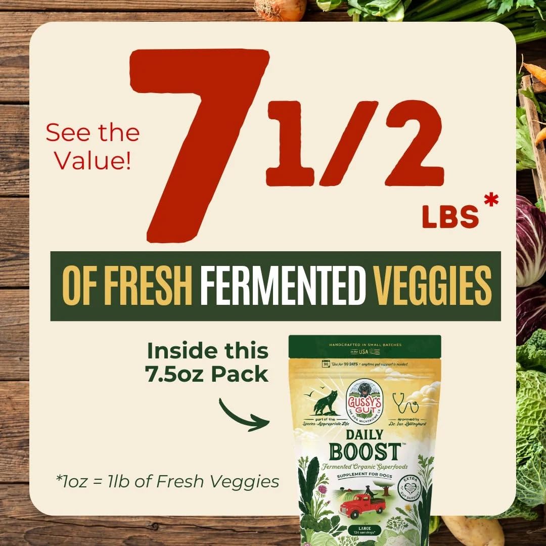 Gussy's Gut Daily Boost ingredients bowl showcasing the 19-ingredient blend.
