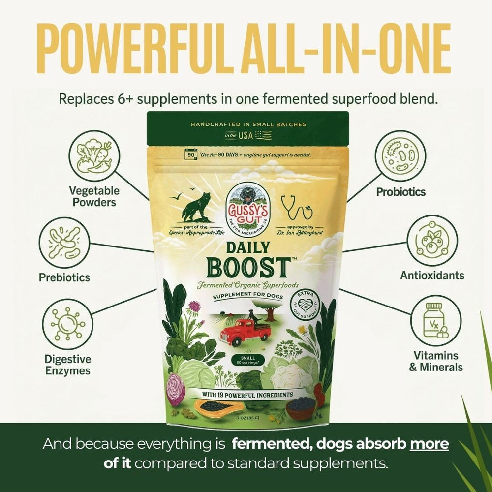 Gussy's Gut Daily Boost label closeup emphasizing ingredients and USA-made quality.