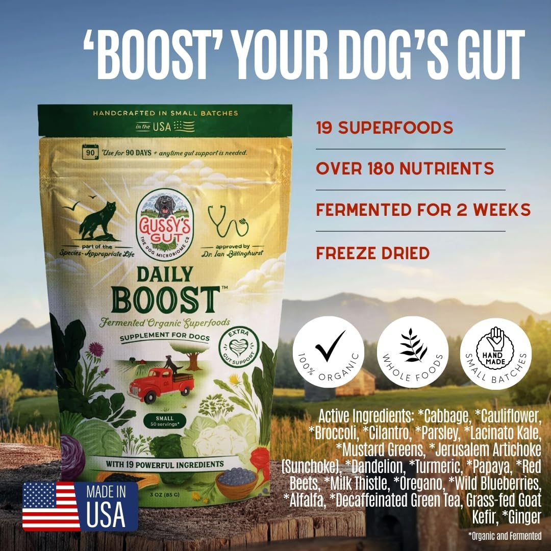 Gussy's Gut Daily Boost label close-up showing the 19-ingredient probiotic blend