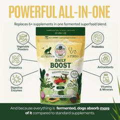 Gussy's Gut Daily Boost label closeup emphasizing ingredients and USA-made quality.