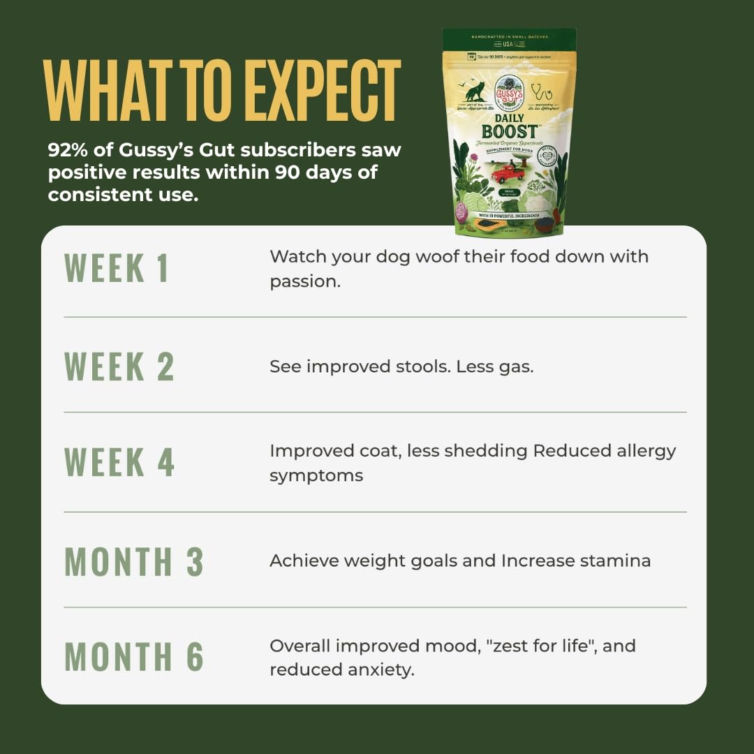 Shelf-ready Gussy's Gut Daily Boost product display with natural ingredients