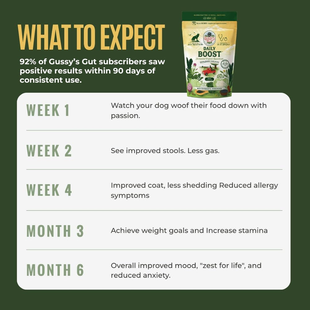 Shelf-ready Gussy's Gut Daily Boost product display with natural ingredients