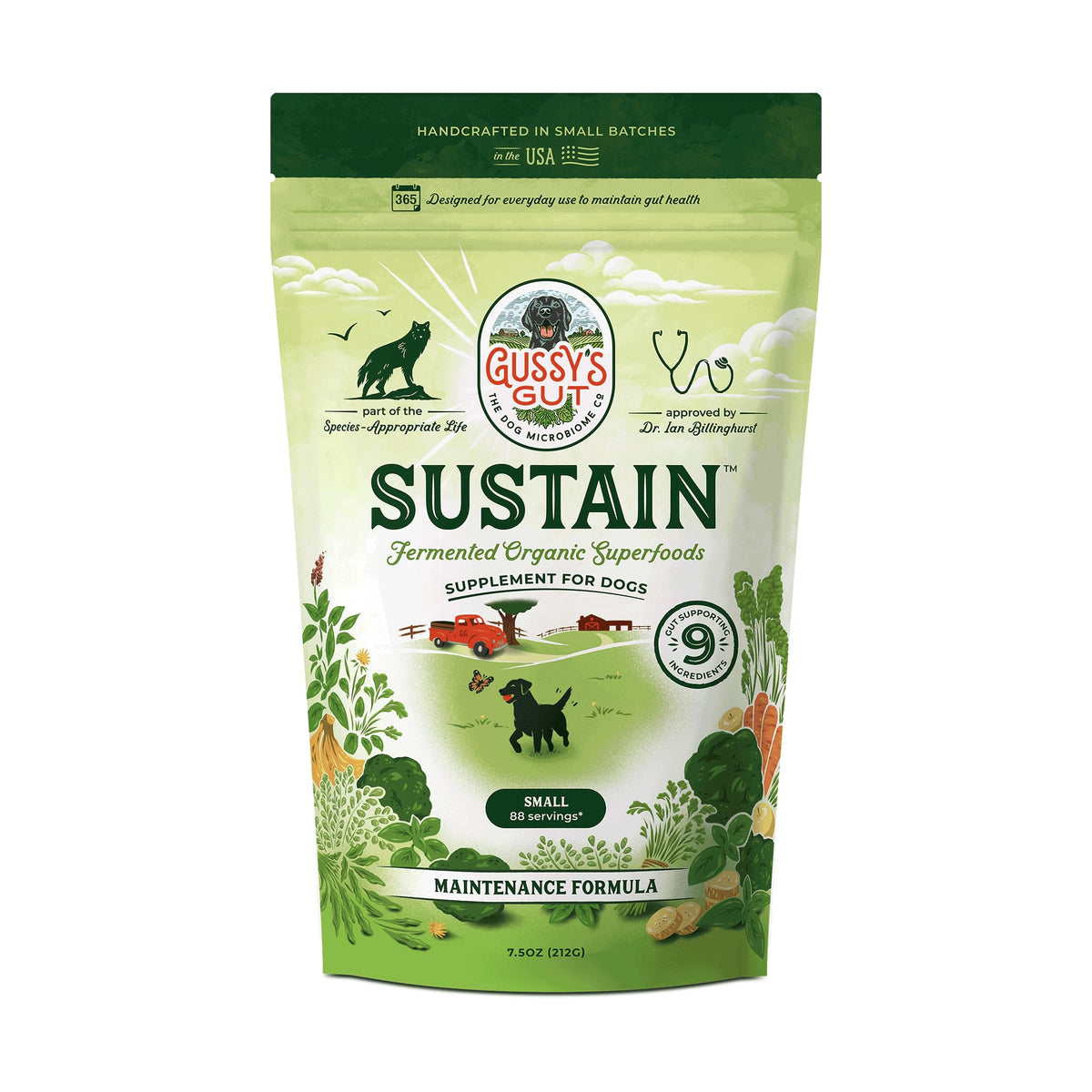 Gussy's Gut Sustain bottle close-up, fermented prebiotic formula supports digestion in dogs.