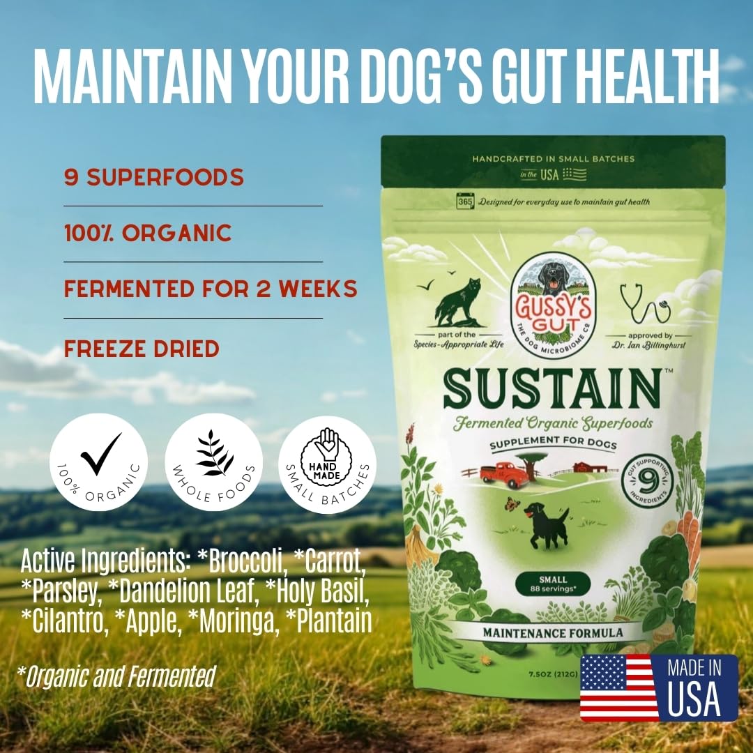 Gussy's Gut Sustain dog dining scene showing powder being served, supporting gut health and digestion.